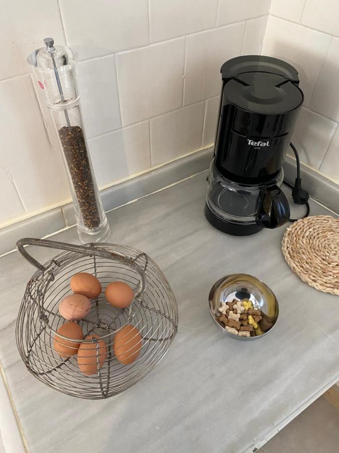 부흐-마담 Chez Helene 3 Etoiles, Labellise Disabled Pmr,Pour 4 Personnes Chiens Bienvenus-Pet Friendly 아파트 외부 사진